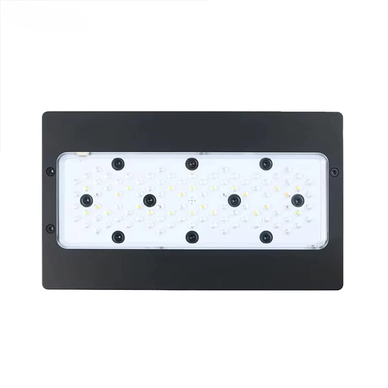 Aquarium Blue Marine - A8Pro Max/블루 240W CREE LED 리프