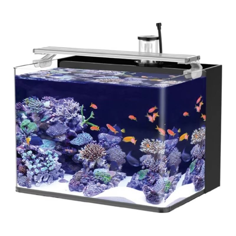 Marine Aquarium All In One - 테이블형 곡선형 해수어 수족관, 거실, 침실,