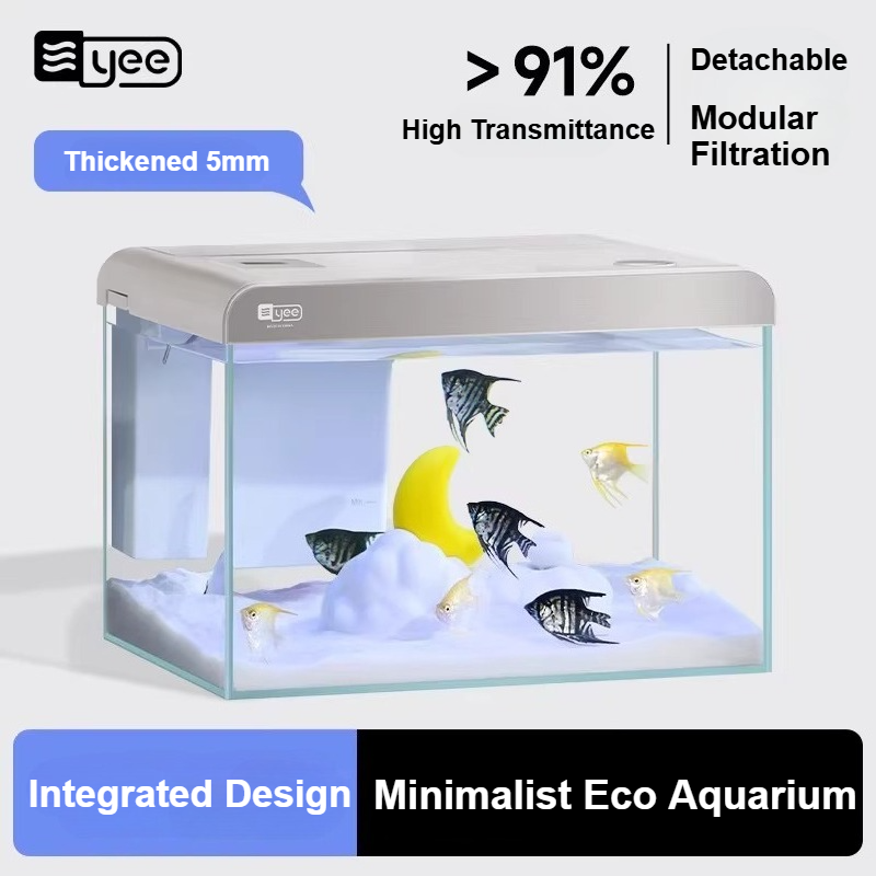 울트라 클리어 글래스 데스크탑 수족관 에코 시스템 자가 - Marine Aquarium All In One 리뷰 및 가격