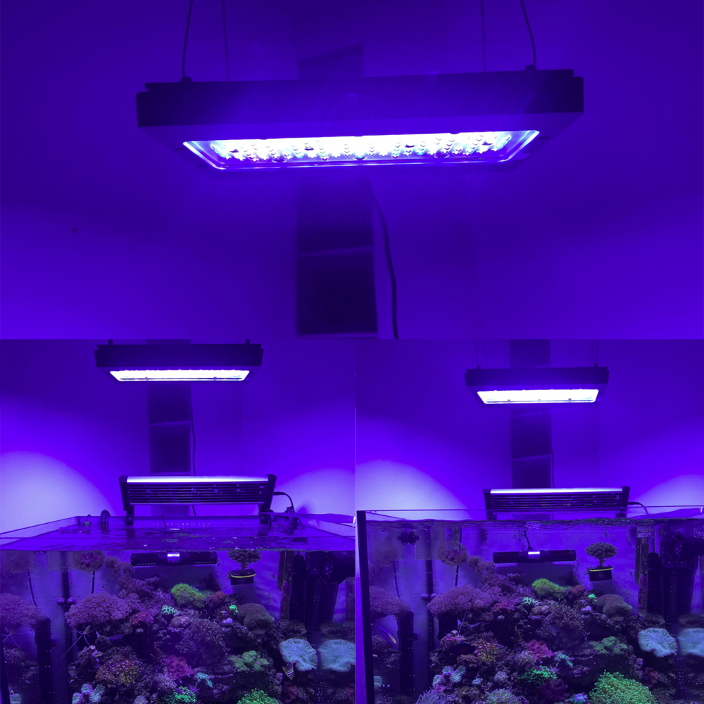 A8se Pro III MAX 블루 240W 해양 리프 - Aquarium Blue Marine 리뷰 및 가격