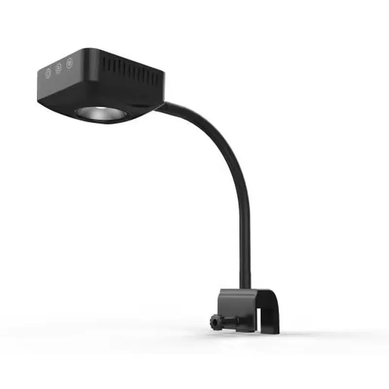 고급 해수 어항 장식용 액세서리 LED 조명, 해수 어 - Aquarium Marine Color 리뷰 및 가격