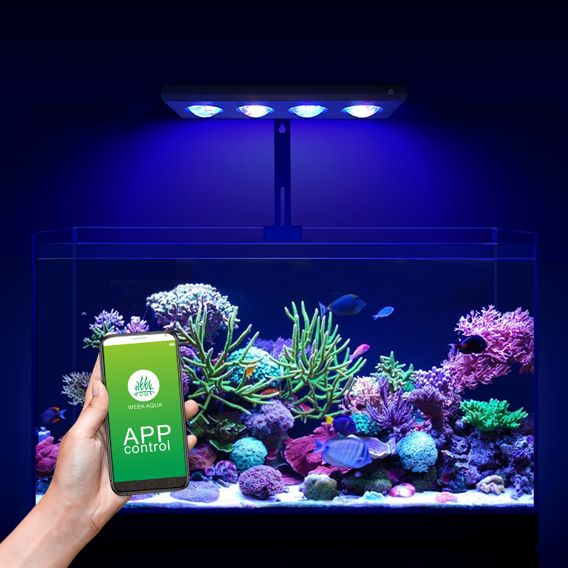 ZXY 핫 세일 WEEKAQUA Z250 Z400sea - Aquarium Blue Marine 리뷰 및 가격
