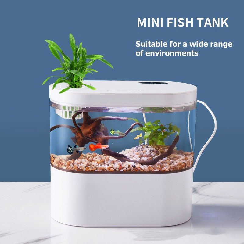 미니 데스크탑 수족관 생화학 여과 시스템과 LED 무교 - Marine Aquarium Water Change 리뷰 및 가격