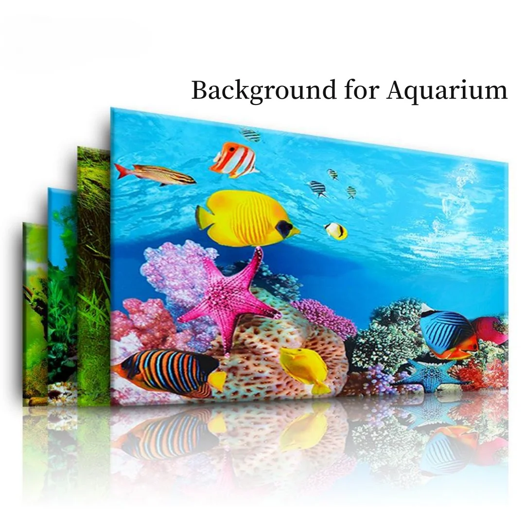 배경 수족관 3D 스티커 포스터 장식, 어항 해양 식물 - Marine Aquarium All In One 리뷰 및 가격