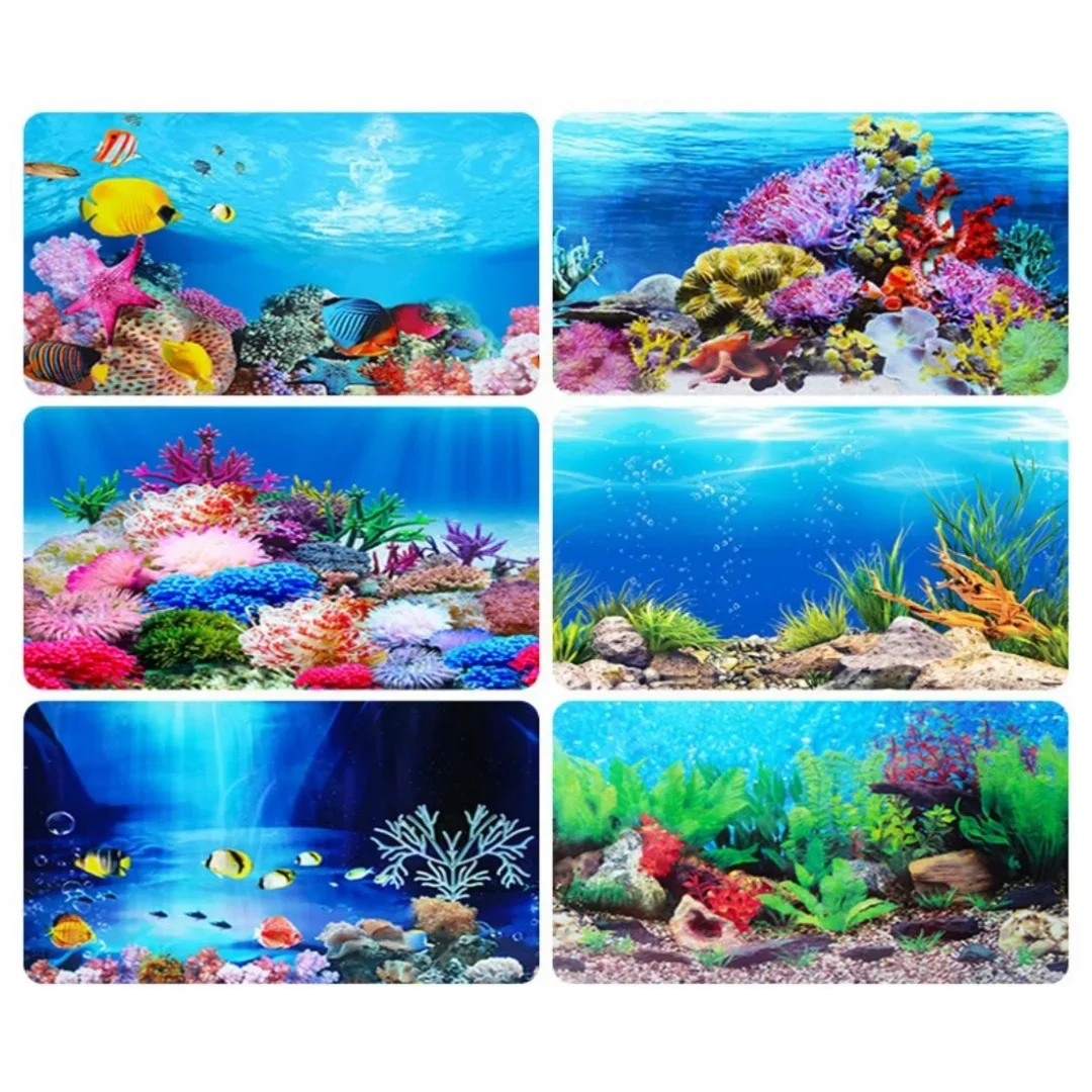 배경 수족관 3D 스티커 포스터 장식, 어항 해양 식물 - Marine Aquarium All In One 리뷰 및 가격