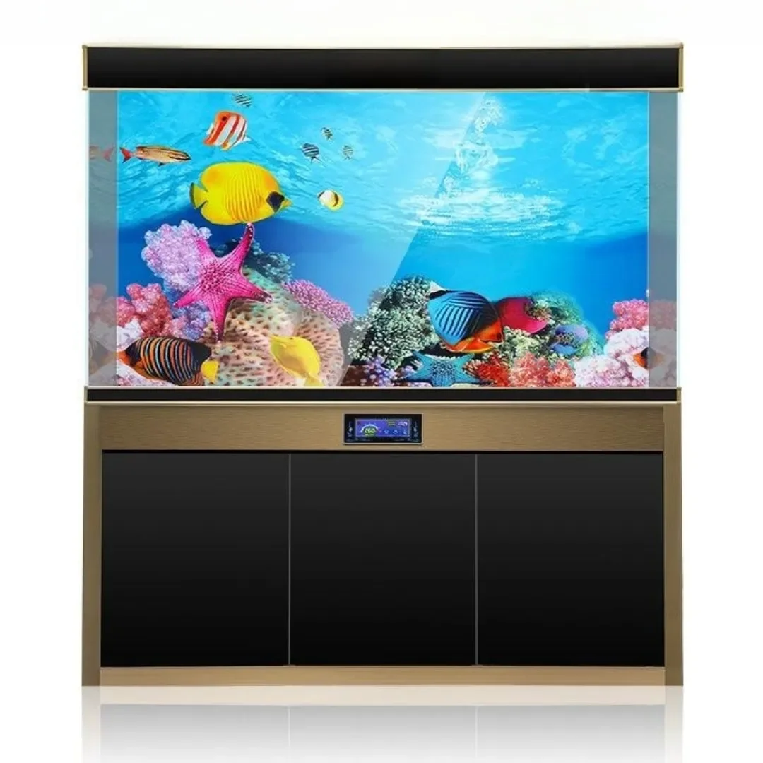 배경 수족관 3D 스티커 포스터 장식, 어항 해양 식물 - Marine Aquarium All In One 리뷰 및 가격