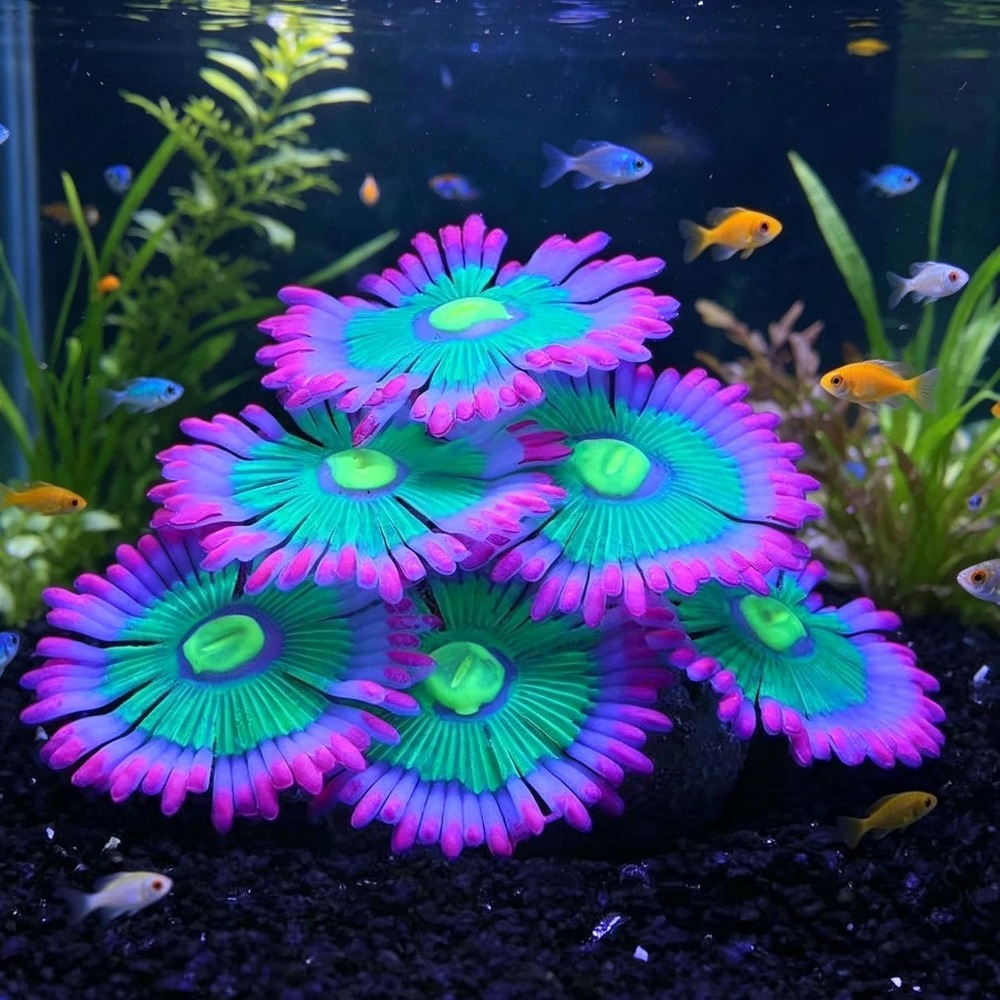 빛나는 부드러운 수족관 장식용 실리콘 발광 인공 장식  - Marine Aquarium All In One 리뷰 및 가격