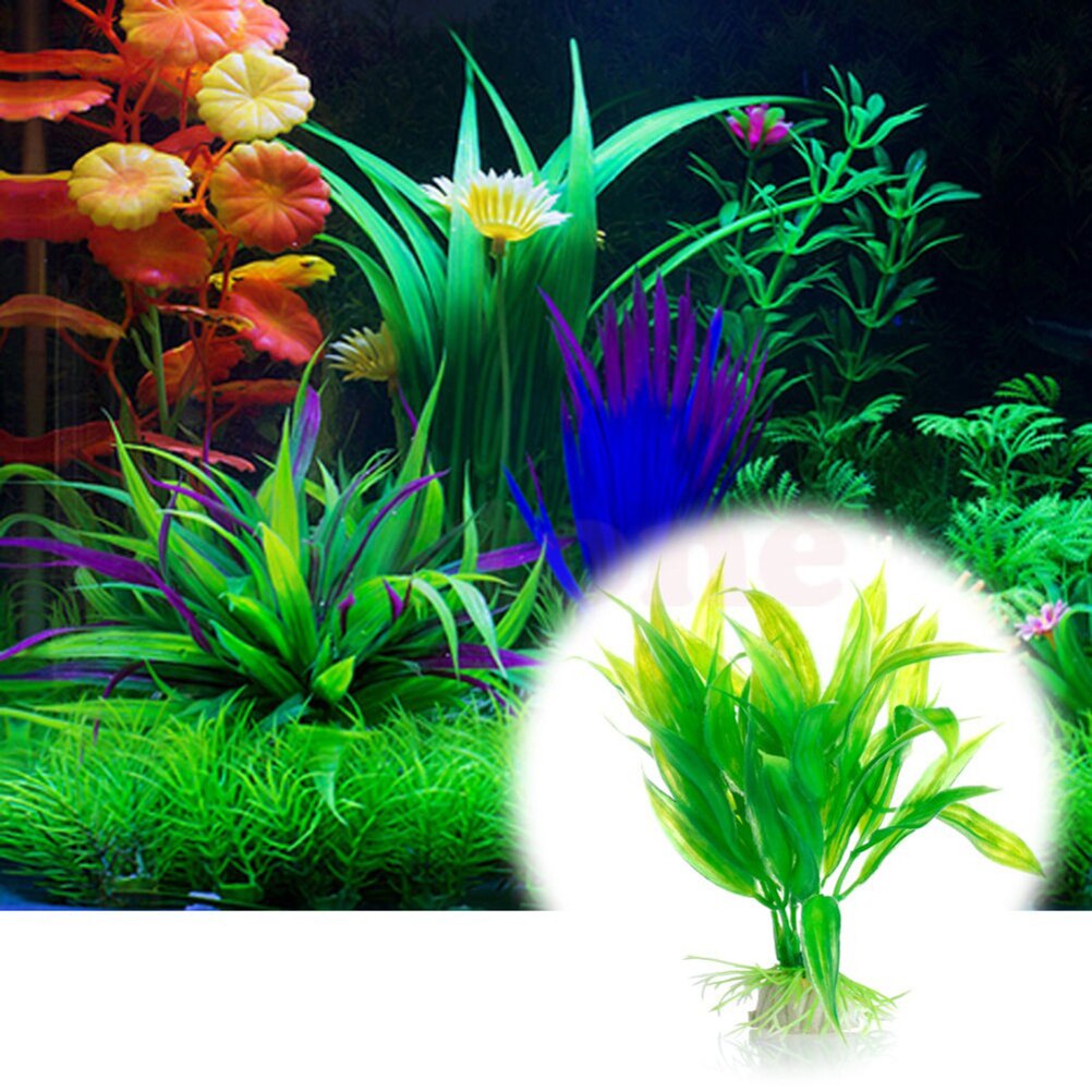 인공 수족관 장식 식물, 물 잡초 장식, 수생 식물,  - Marine Aquarium All In One 리뷰 및 가격
