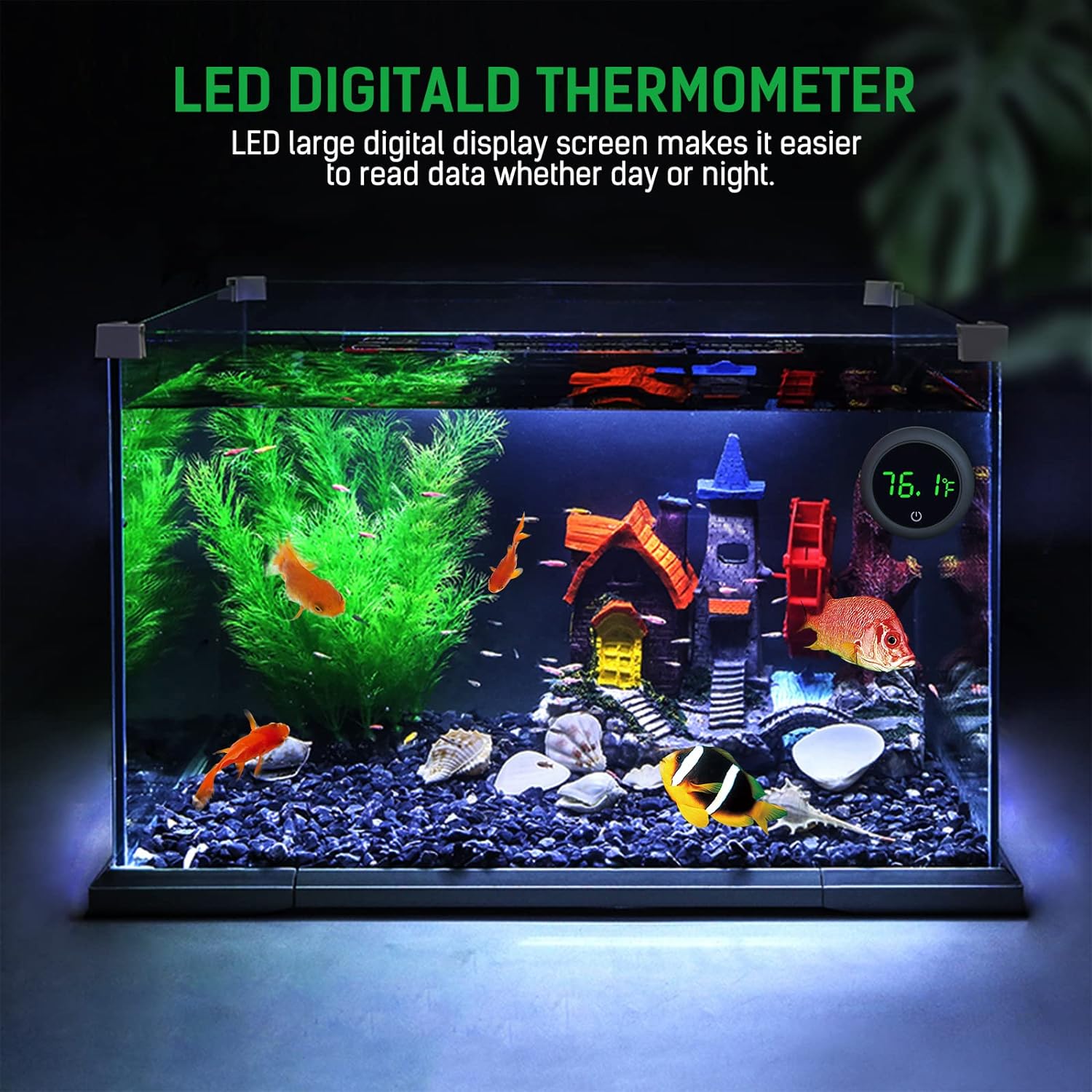 LED 디지털 어항 온도계 거북이 수생 애완동물을 위한 - Aquarium Marine Color 리뷰 및 가격