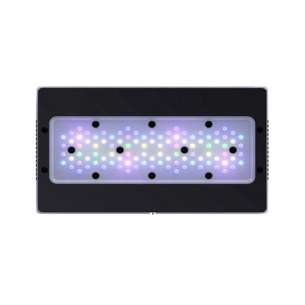 A8SE II Max 및 Blue 240W 풀 스펙트럼 - Aquarium Blue Marine 리뷰 및 가격