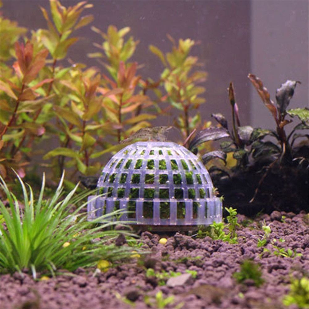 새로운 플라스틱 서스펜션 모스 돔 반원형 화이트 마리모 - Marine Aquarium All In One 리뷰 및 가격