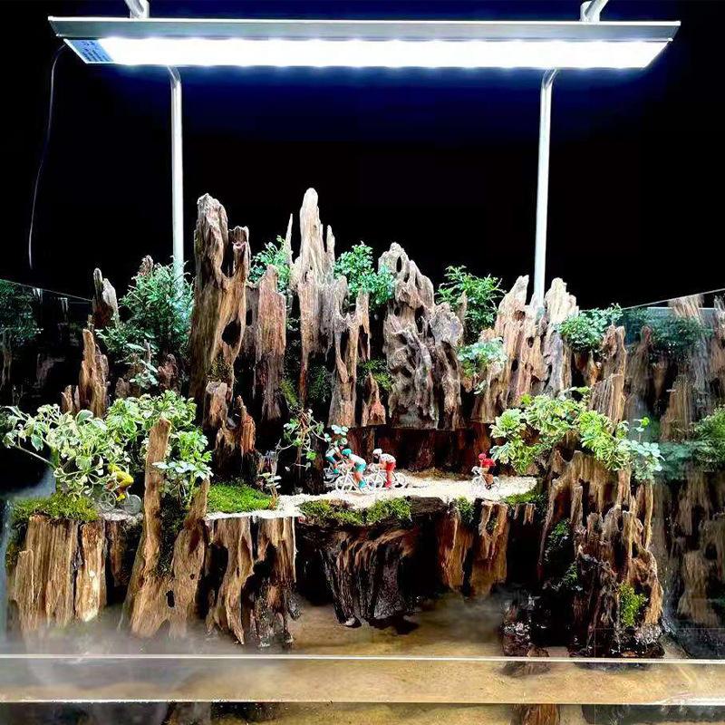 △   새우 나무 수족관 장식, 자연스러운 구멍이 있는 - Marine Aquarium All In One 리뷰 및 가격