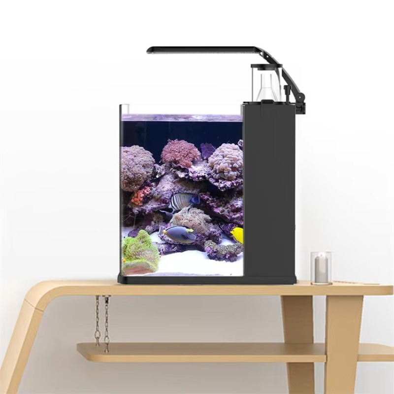 테이블형 곡선형 해수어 수족관, 거실, 침실, 사무실용 - Marine Aquarium All In One 리뷰 및 가격