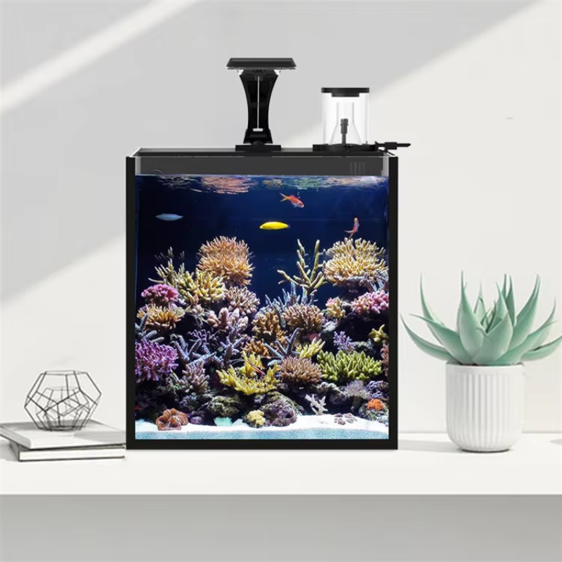 테이블형 곡선형 해수어 수족관, 거실, 침실, 사무실용 - Marine Aquarium All In One 리뷰 및 가격